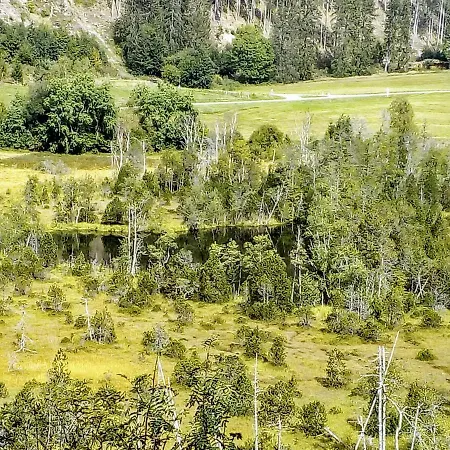 Waldrast Апартаменты